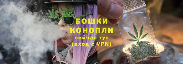 стаф Белоозёрский