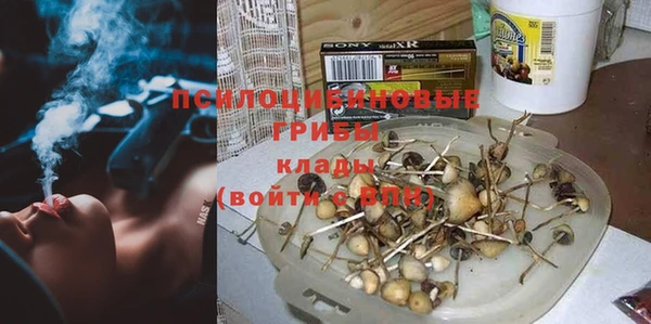 стаф Белоозёрский