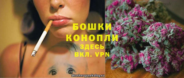 стаф Белоозёрский
