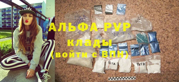 стаф Белоозёрский
