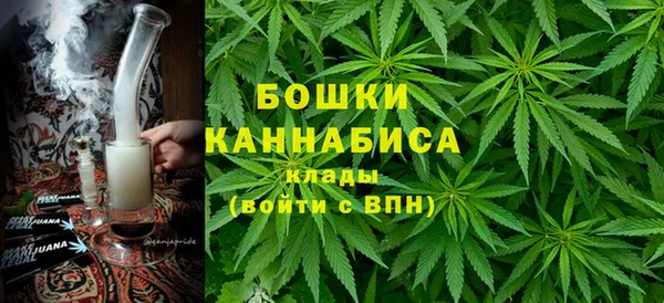 эйфоретик Белокуриха