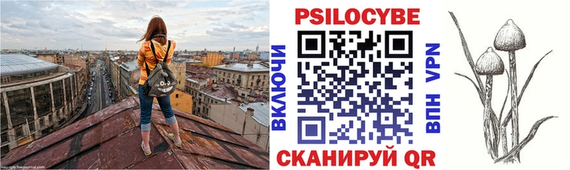 Галлюциногенные грибы Psilocybine cubensis Лыткарино